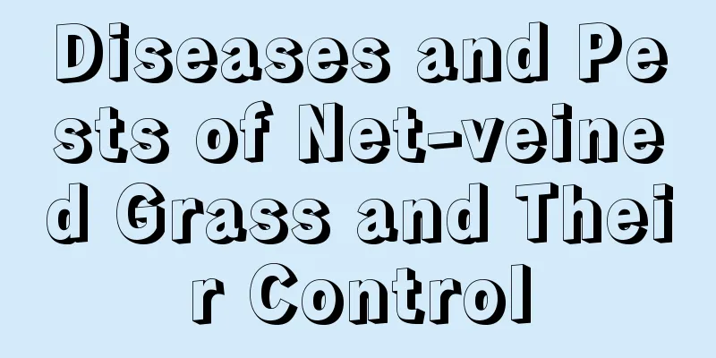 Diseases and Pests of Net-veined Grass and Their Control