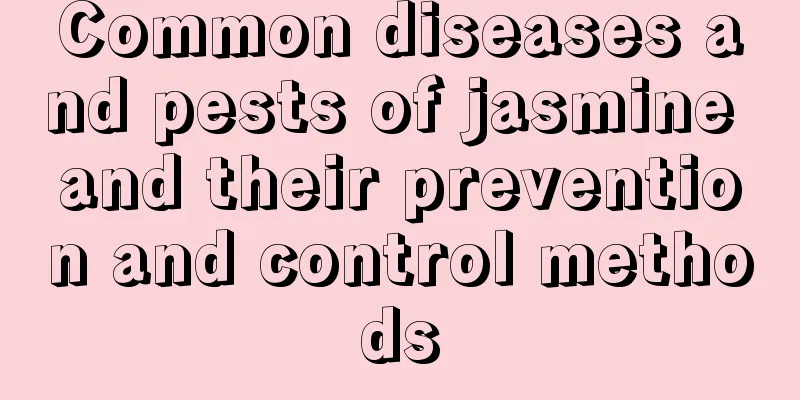 Common diseases and pests of jasmine and their prevention and control methods