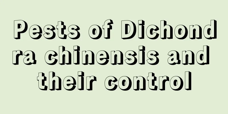 Pests of Dichondra chinensis and their control