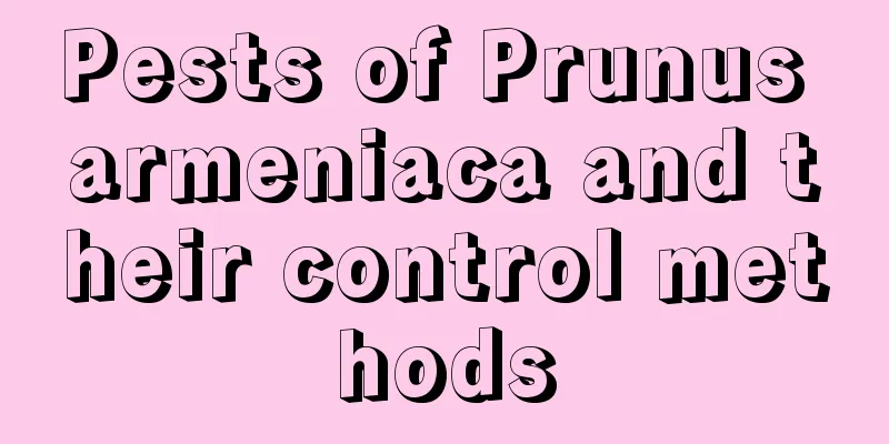 Pests of Prunus armeniaca and their control methods