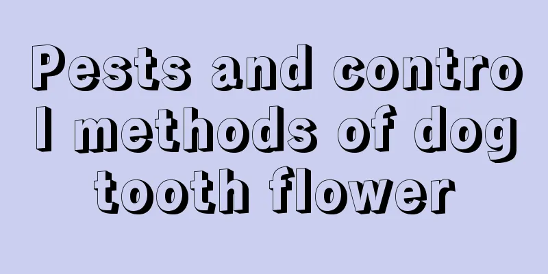 Pests and control methods of dogtooth flower