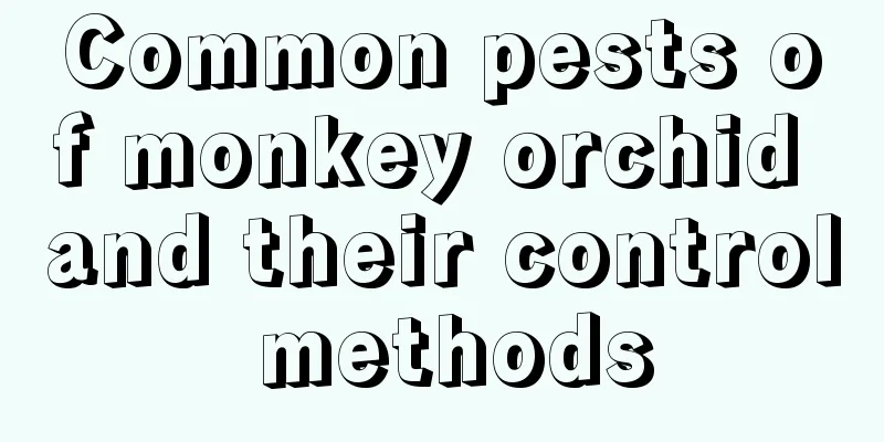 Common pests of monkey orchid and their control methods