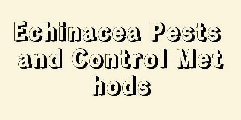 Echinacea Pests and Control Methods