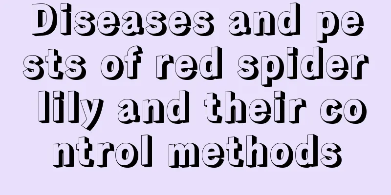 Diseases and pests of red spider lily and their control methods