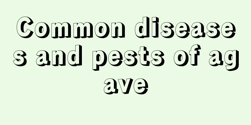 Common diseases and pests of agave