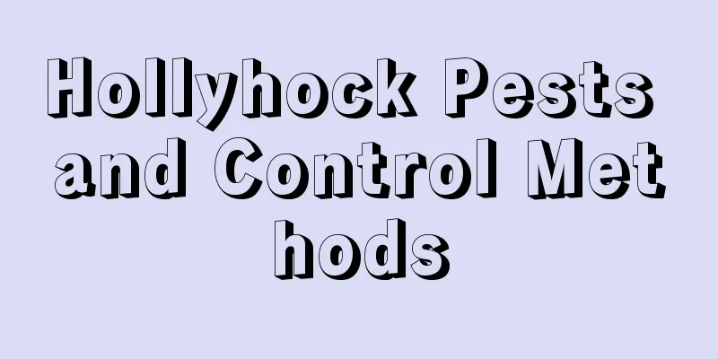 Hollyhock Pests and Control Methods