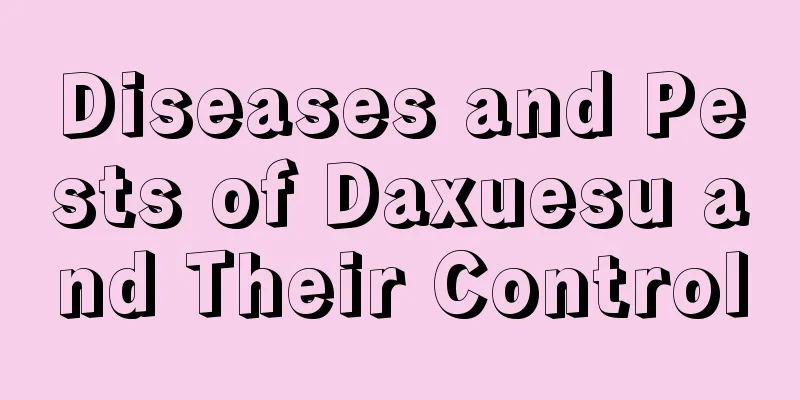 Diseases and Pests of Daxuesu and Their Control