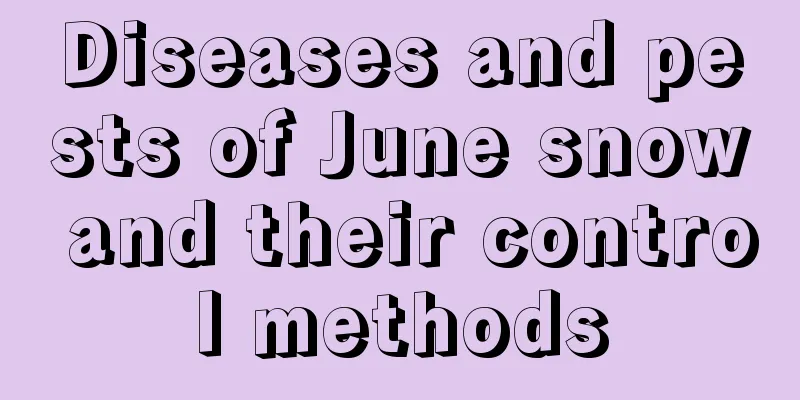 Diseases and pests of June snow and their control methods