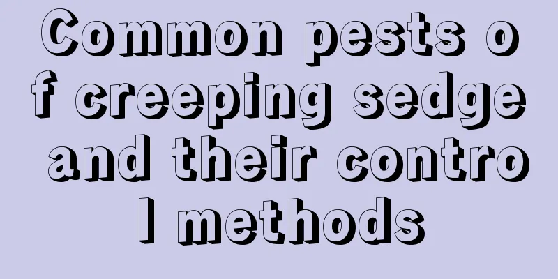 Common pests of creeping sedge and their control methods