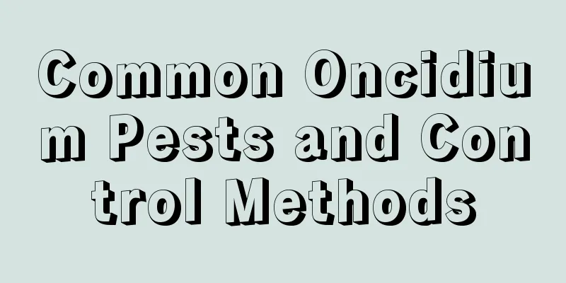 Common Oncidium Pests and Control Methods