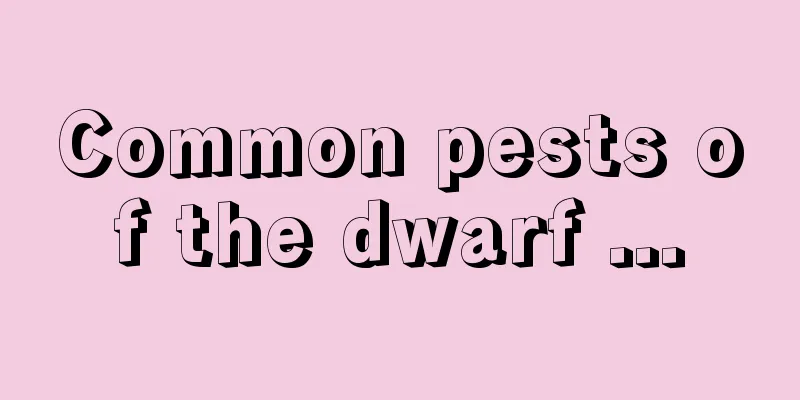 Common pests of the dwarf ...