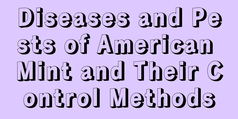 Diseases and Pests of American Mint and Their Control Methods