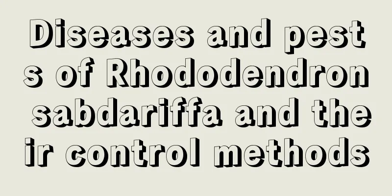 Diseases and pests of Rhododendron sabdariffa and their control methods