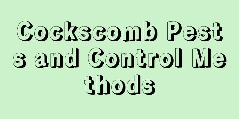 Cockscomb Pests and Control Methods