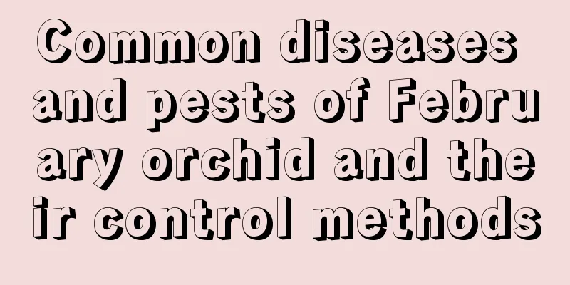 Common diseases and pests of February orchid and their control methods