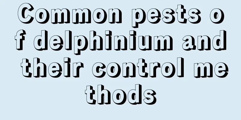 Common pests of delphinium and their control methods