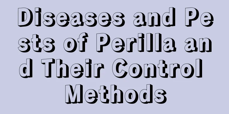 Diseases and Pests of Perilla and Their Control Methods