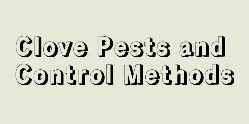 Clove Pests and Control Methods