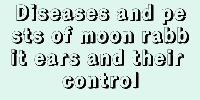 Diseases and pests of moon rabbit ears and their control