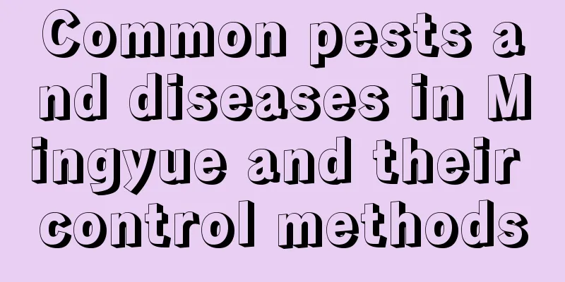 Common pests and diseases in Mingyue and their control methods