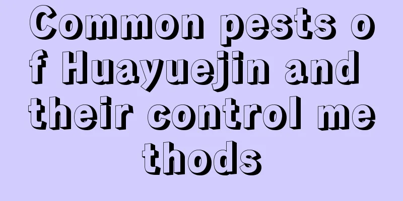 Common pests of Huayuejin and their control methods