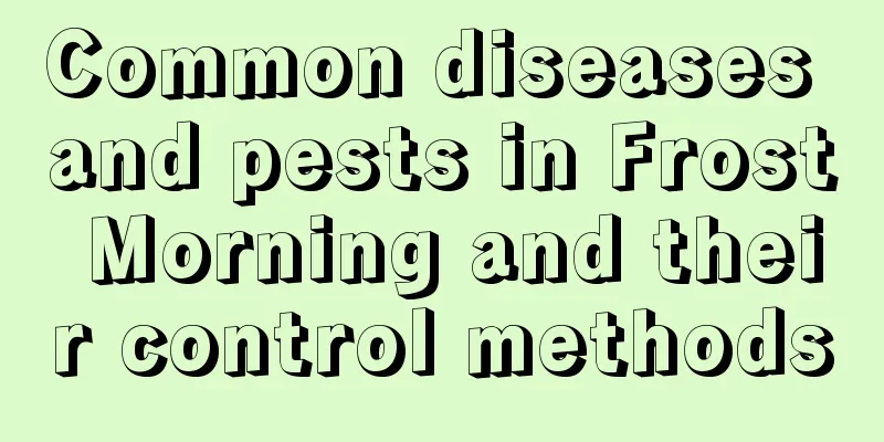 Common diseases and pests in Frost Morning and their control methods