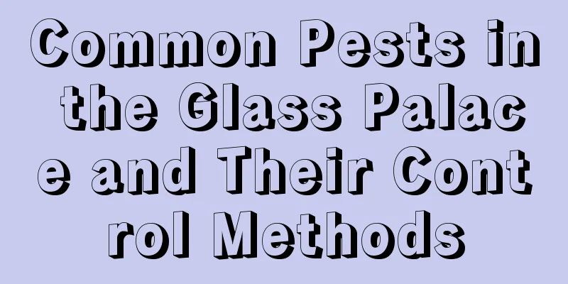 Common Pests in the Glass Palace and Their Control Methods