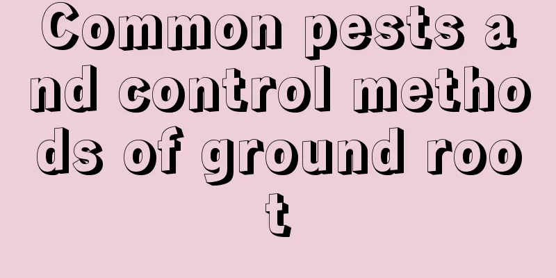 Common pests and control methods of ground root