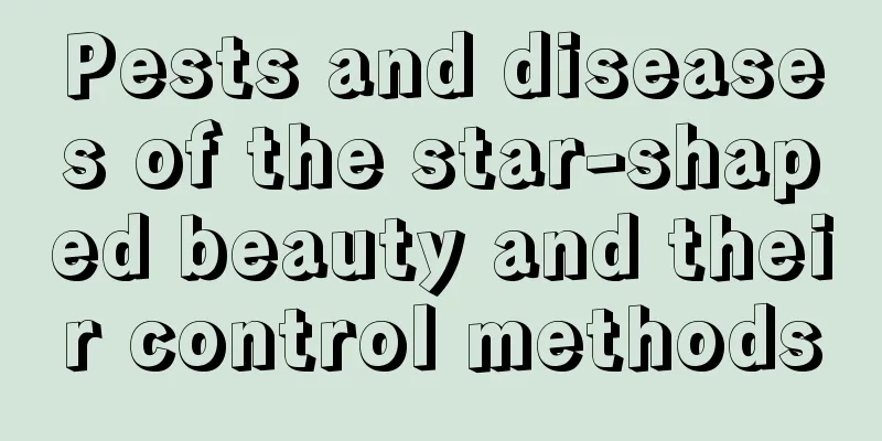 Pests and diseases of the star-shaped beauty and their control methods