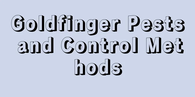 Goldfinger Pests and Control Methods