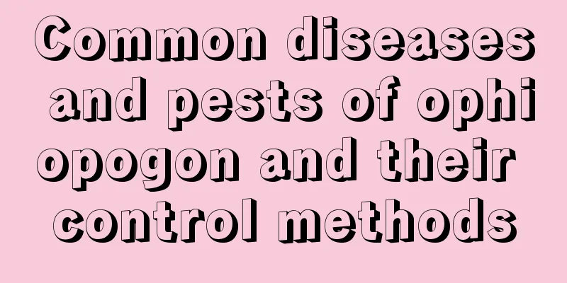 Common diseases and pests of ophiopogon and their control methods