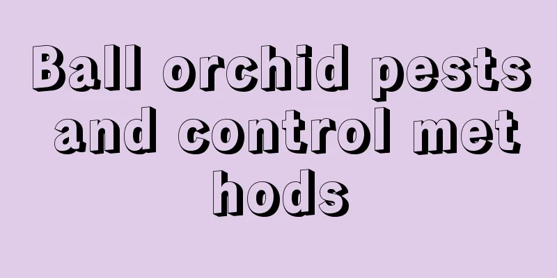 Ball orchid pests and control methods