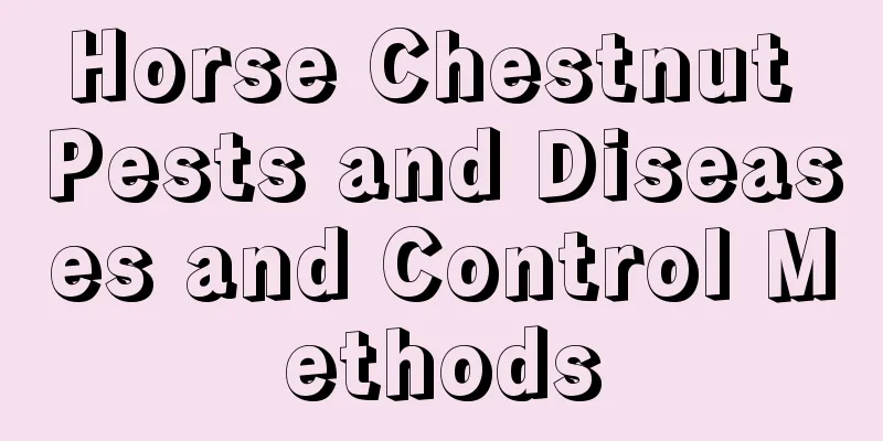 Horse Chestnut Pests and Diseases and Control Methods