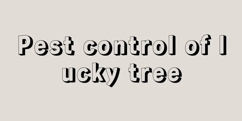 Pest control of lucky tree