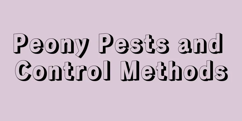 Peony Pests and Control Methods