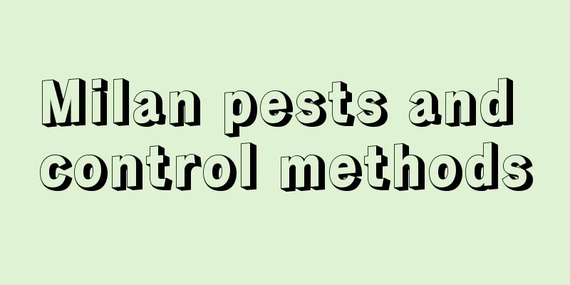 Milan pests and control methods