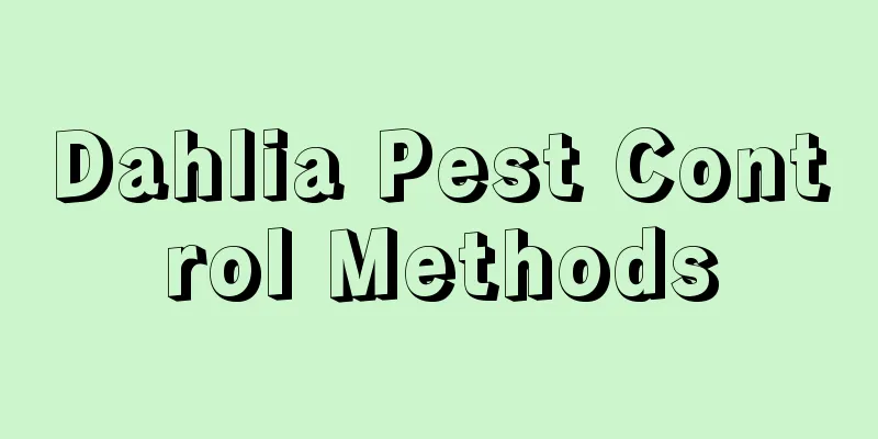 Dahlia Pest Control Methods