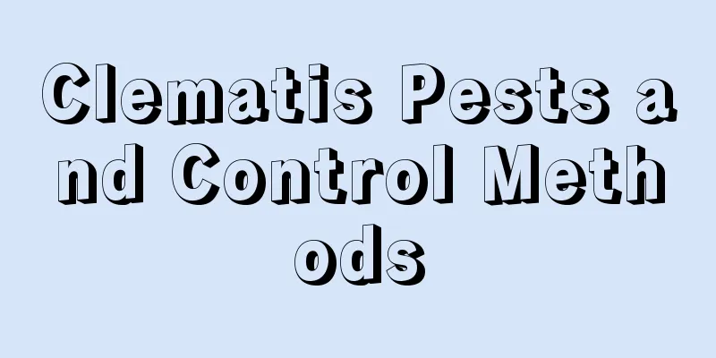 Clematis Pests and Control Methods