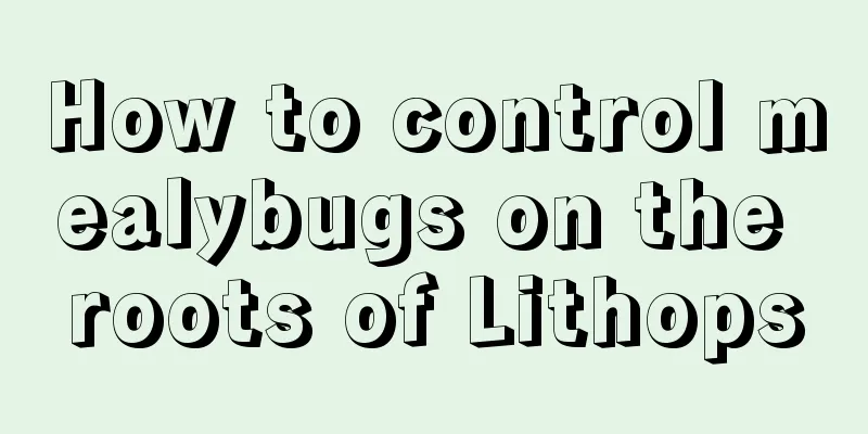 How to control mealybugs on the roots of Lithops