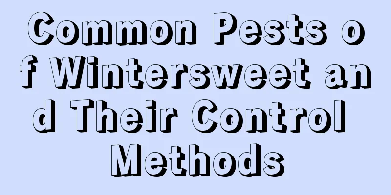 Common Pests of Wintersweet and Their Control Methods