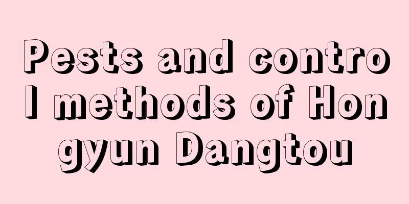 Pests and control methods of Hongyun Dangtou