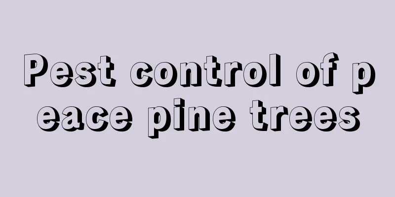 Pest control of peace pine trees