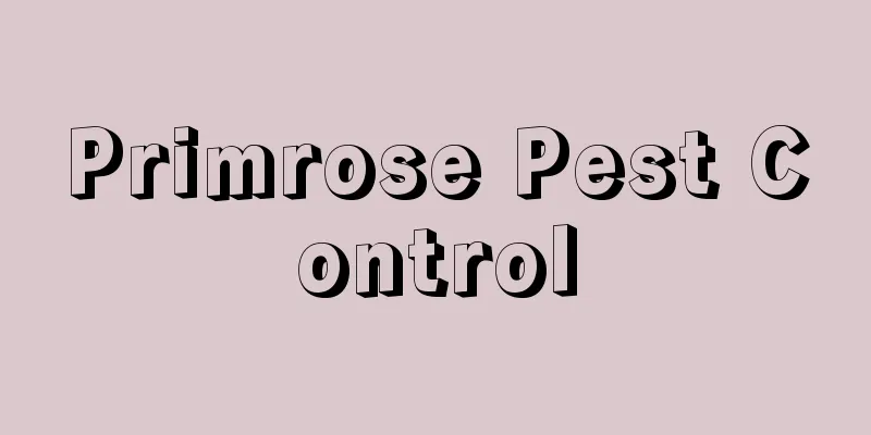 Primrose Pest Control