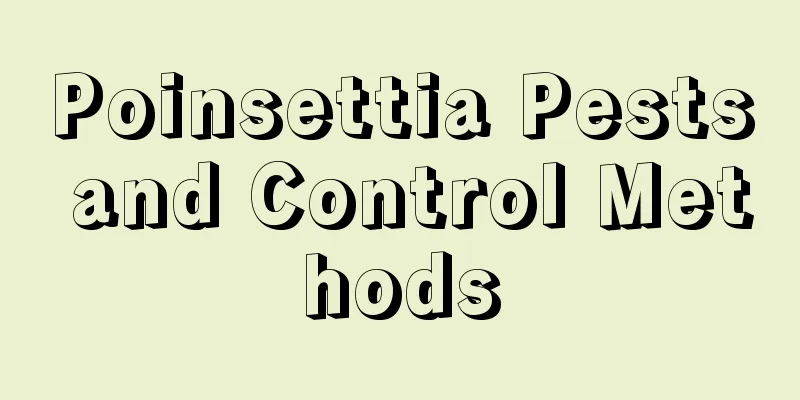 Poinsettia Pests and Control Methods