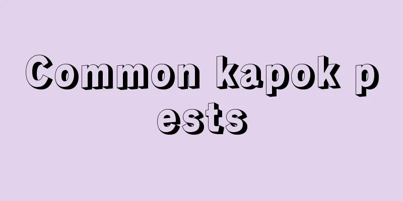 Common kapok pests