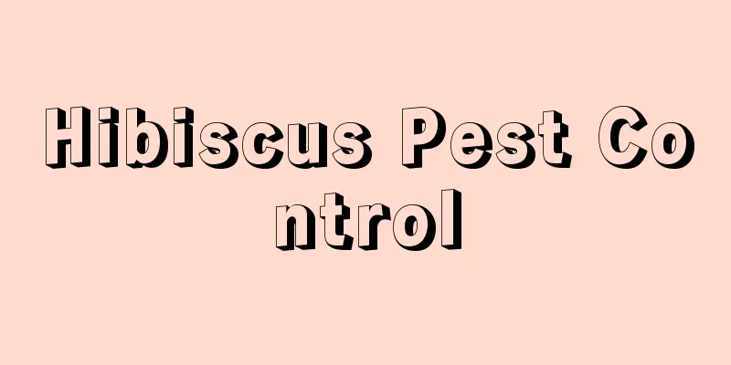 Hibiscus Pest Control