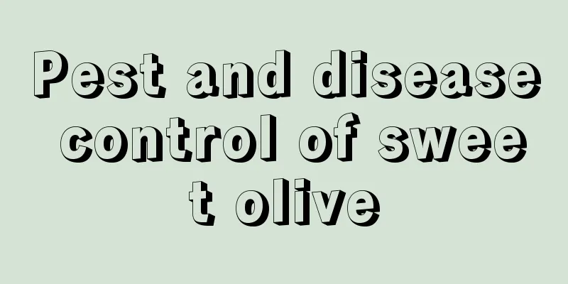 Pest and disease control of sweet olive