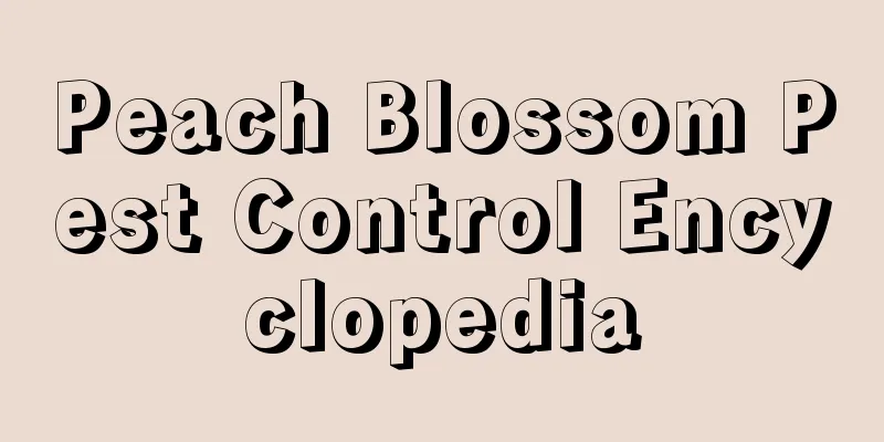 Peach Blossom Pest Control Encyclopedia