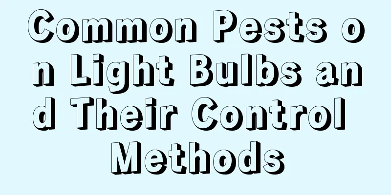 Common Pests on Light Bulbs and Their Control Methods