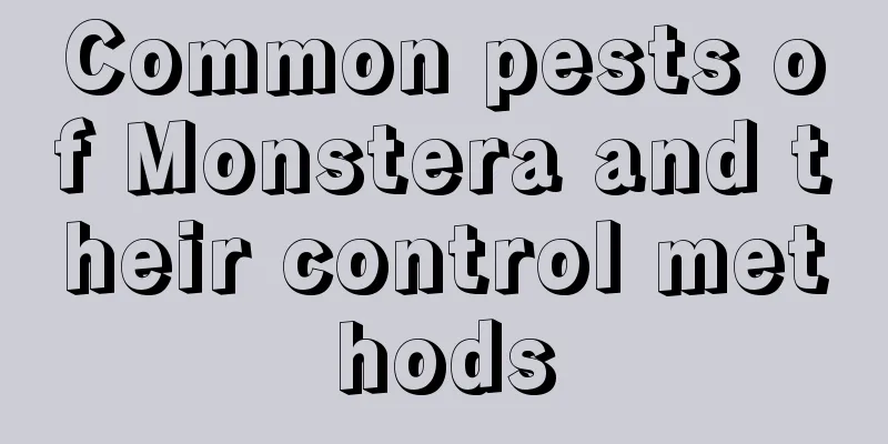 Common pests of Monstera and their control methods